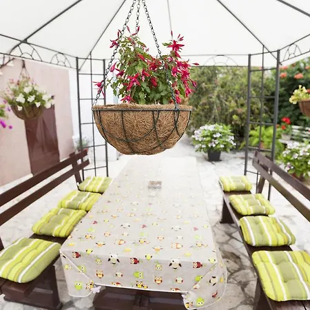 Apartman Dalmatia